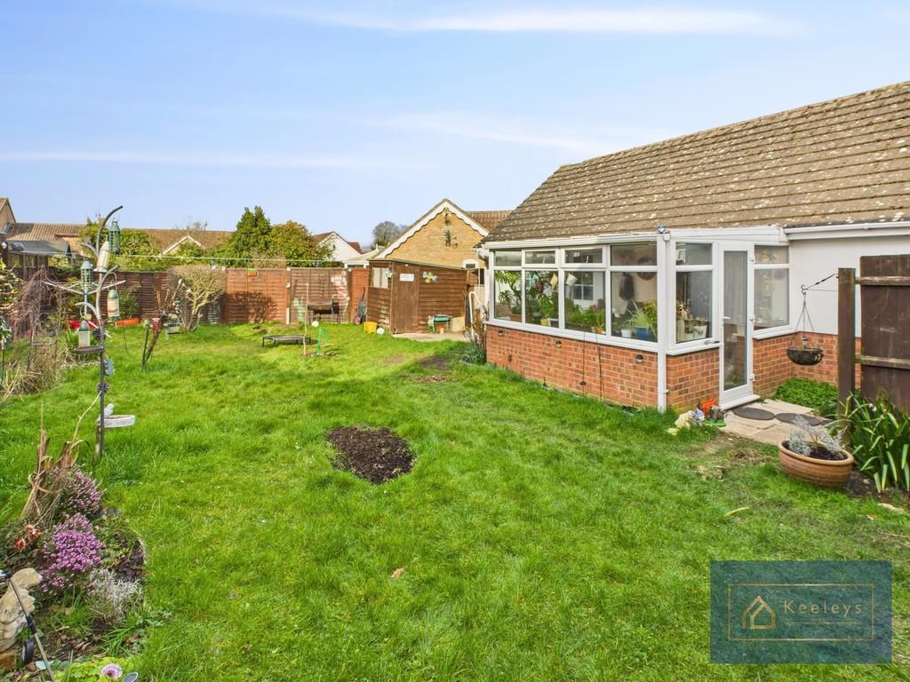 Back garden