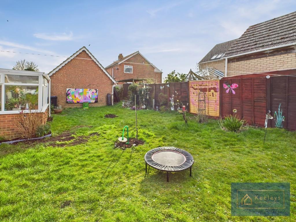 Back garden