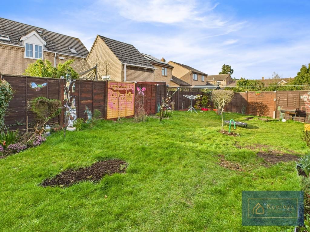 Back garden