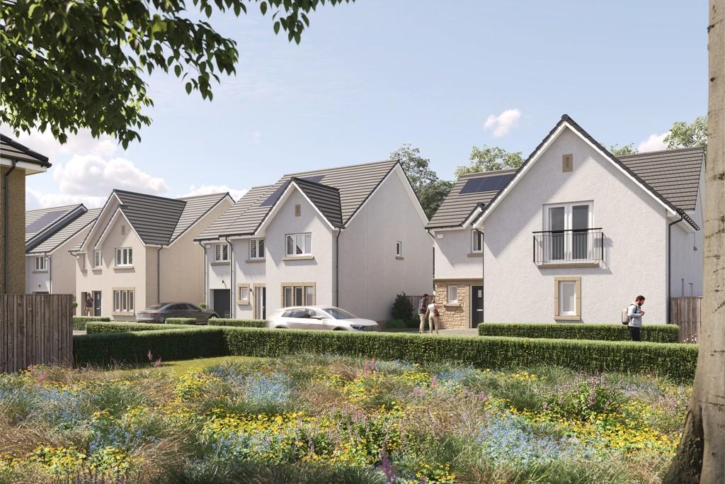 Pinefields, livingston