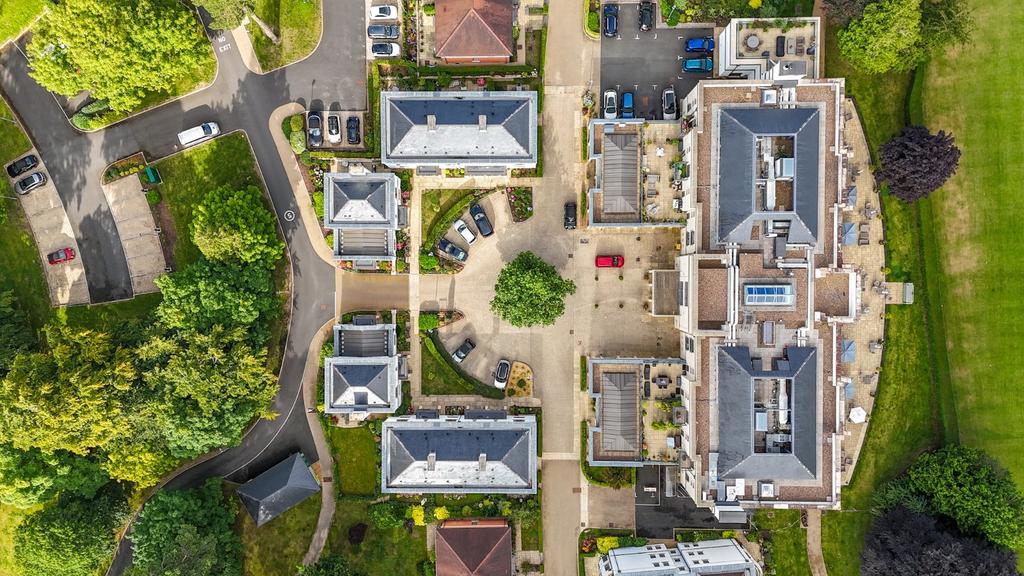 Birds Eye