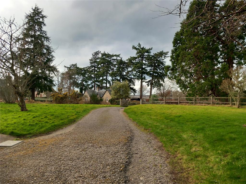 Driveway