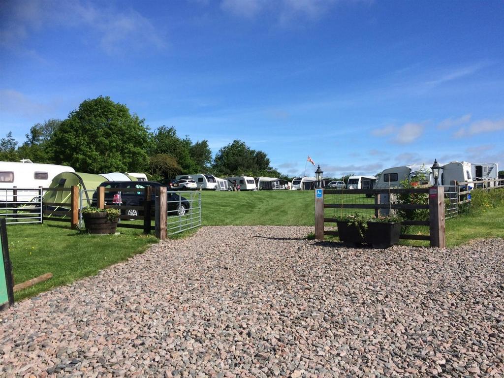 Campsite paddock - summer 2024