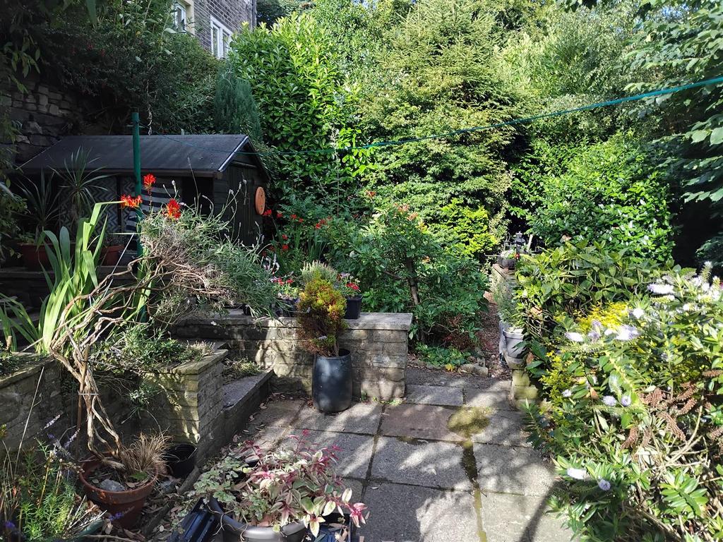 IMG 20250710 181744.jpg
