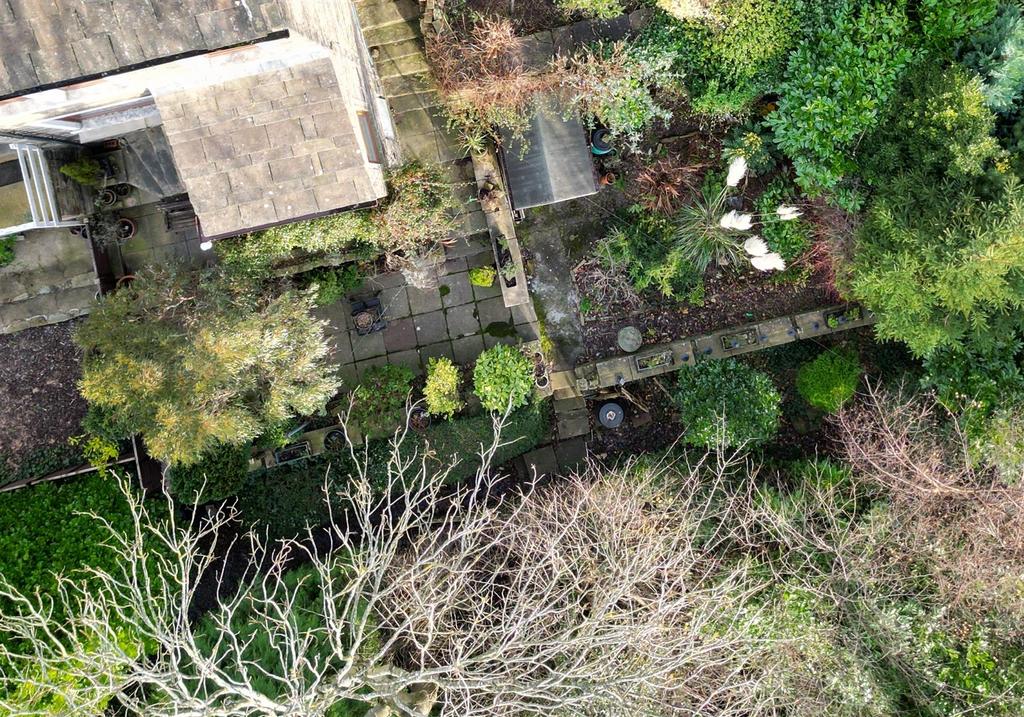 Garden above 2.jpg