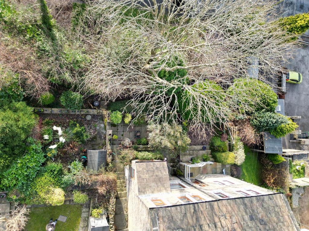 All garden.jpg