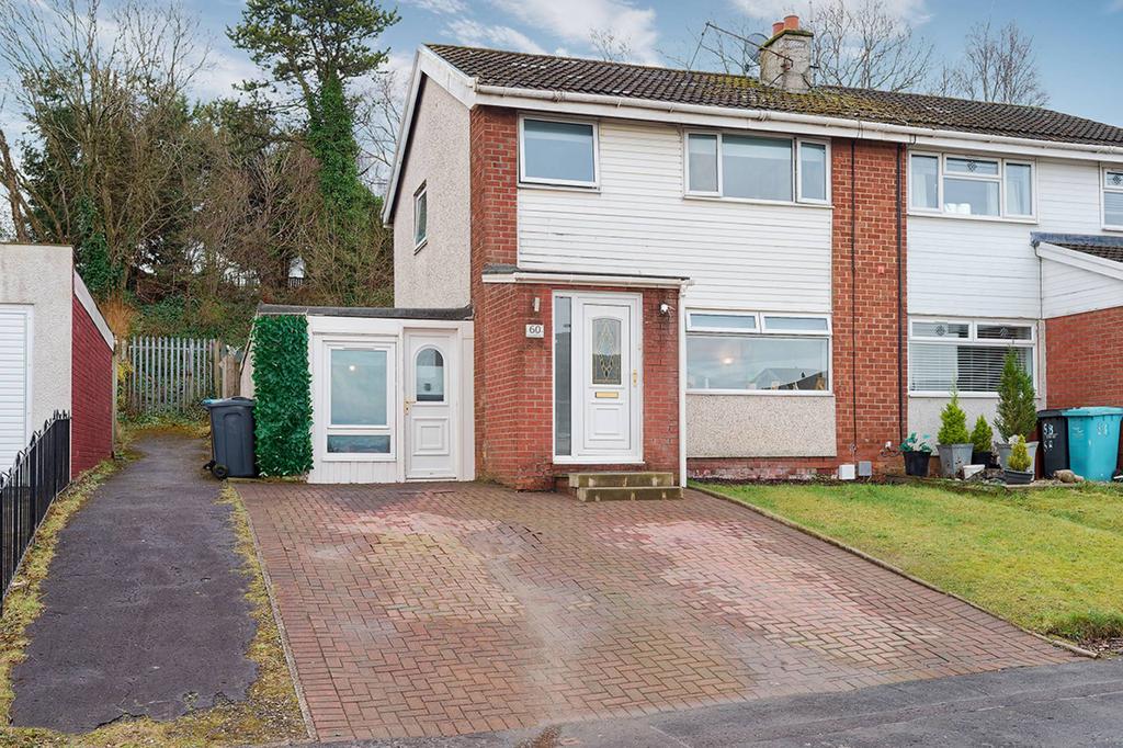 MFL0246982 209.jpg