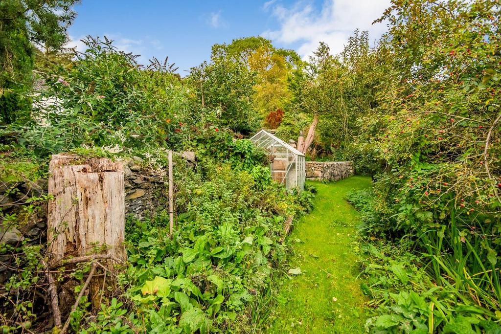 Additional Photograph