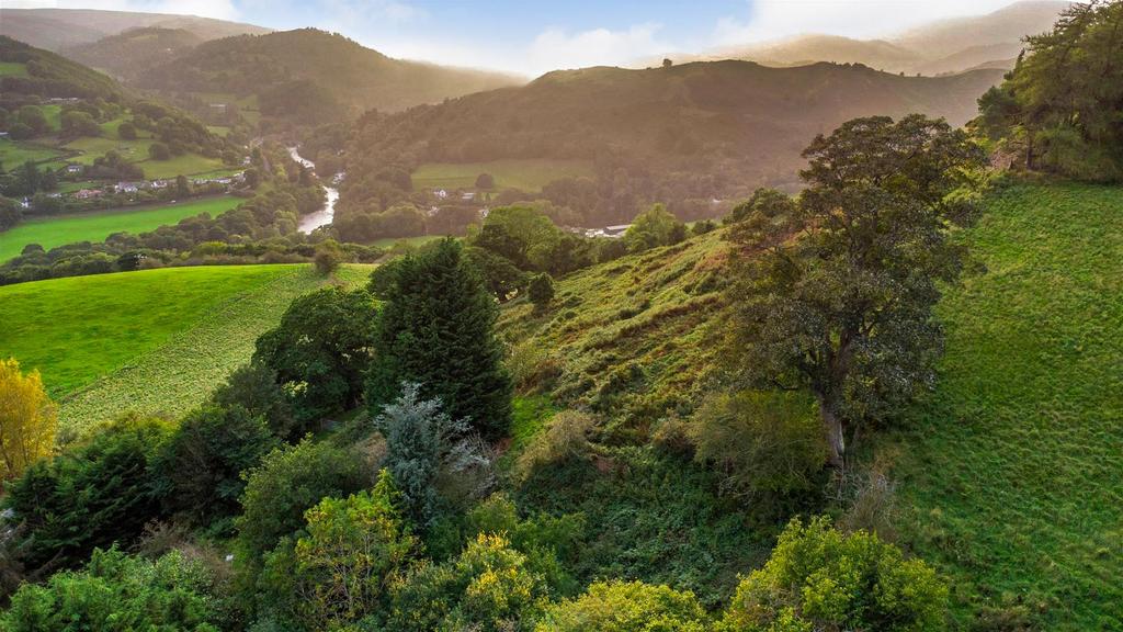 Additional Photograph