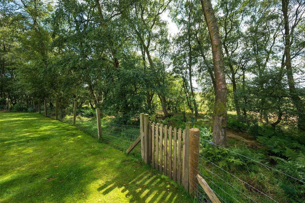 Gate To Woods