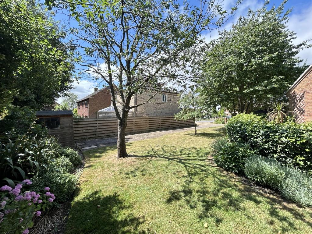 Garden 2