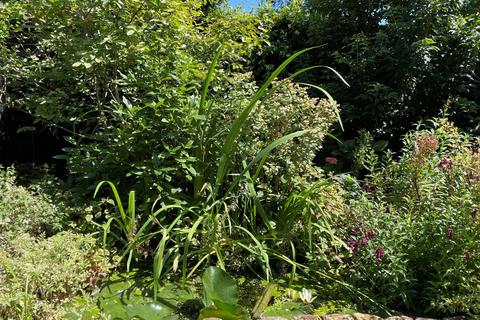 57a Tressillian Road, London, SE4 1YA