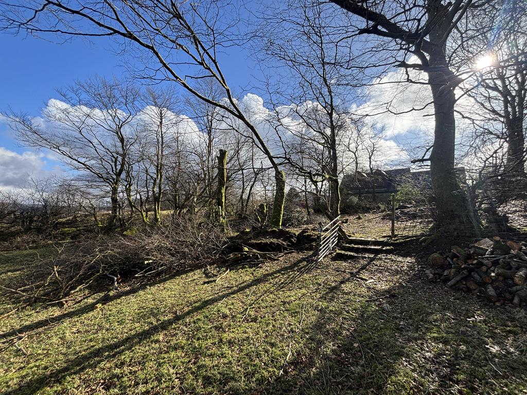The land (second image)
