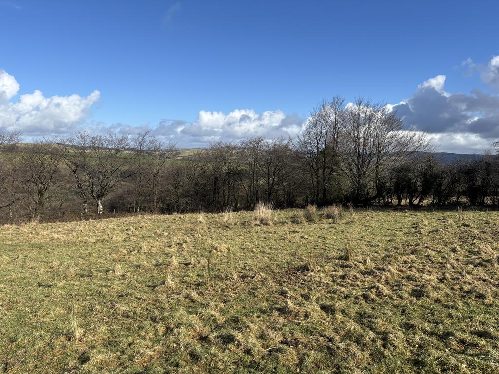 The land (third image)