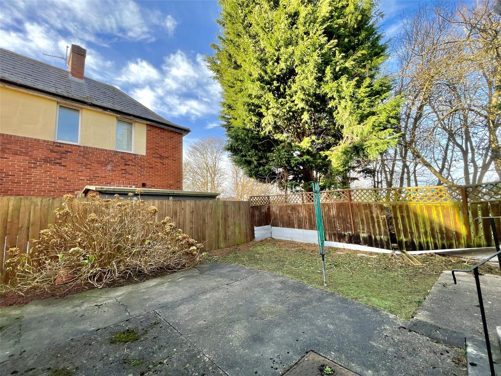 Rear Yard