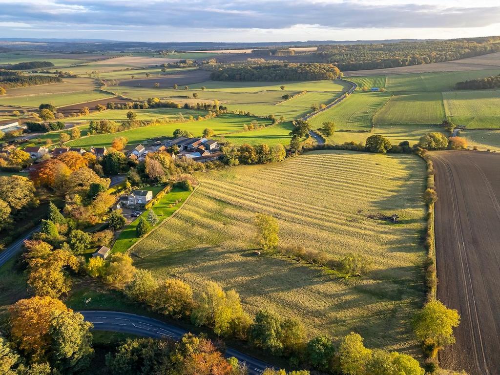 Aerial 3