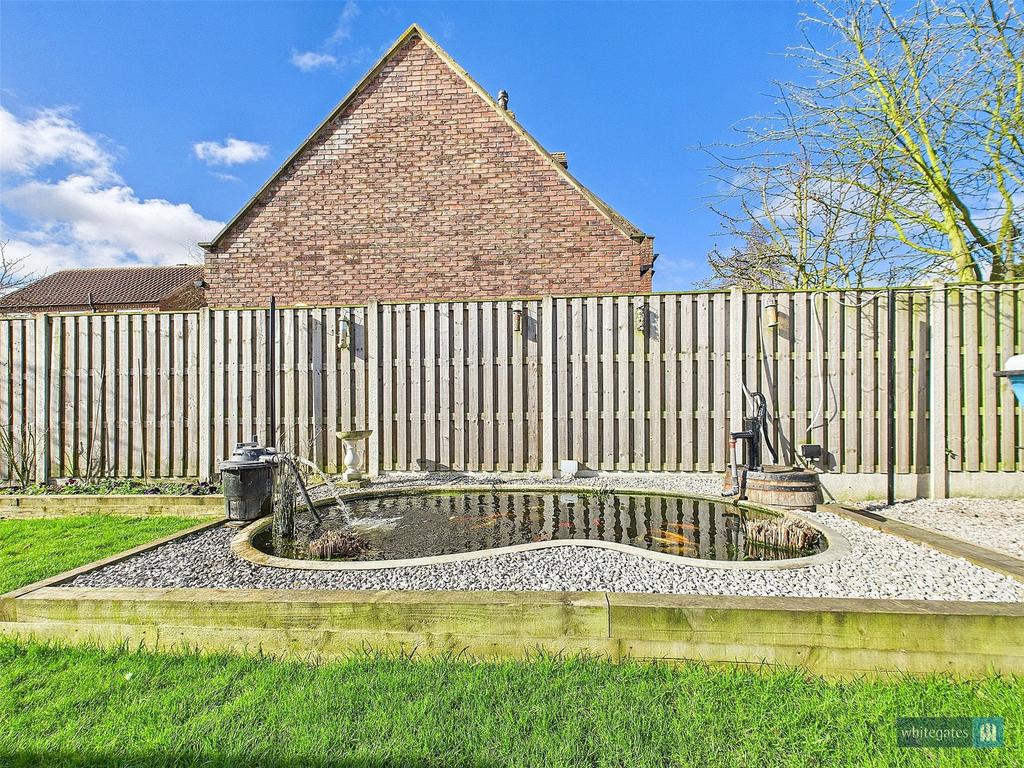Pond