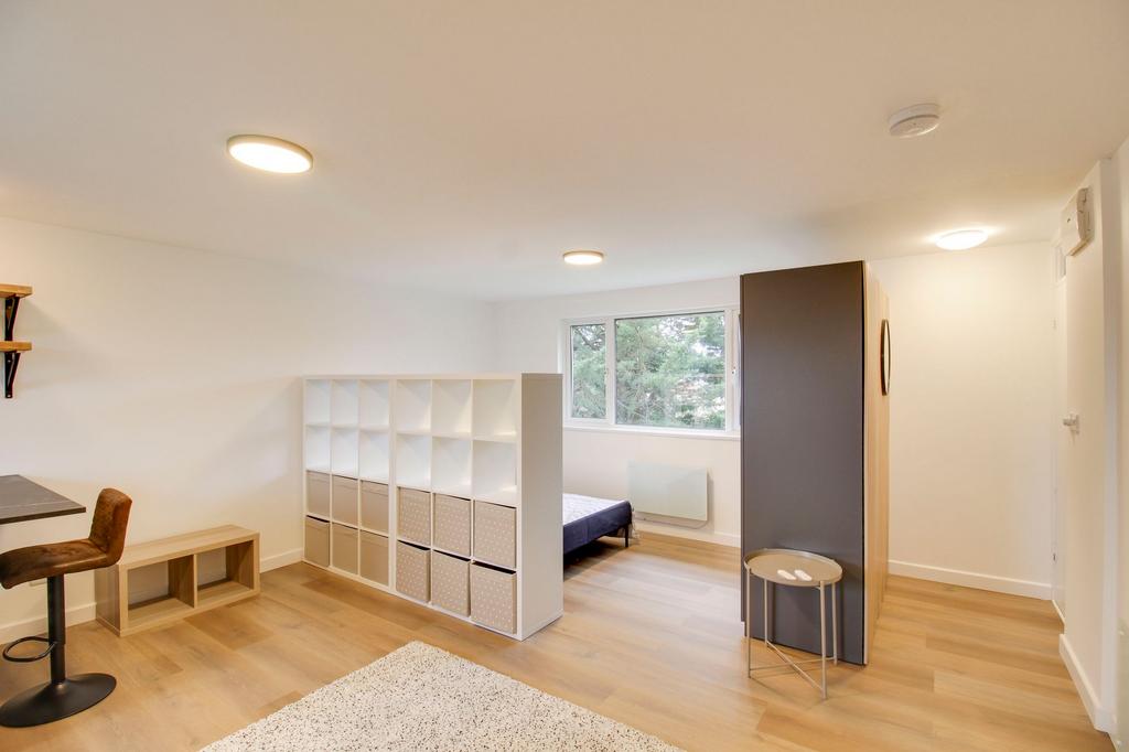 Living / Bedroom Area