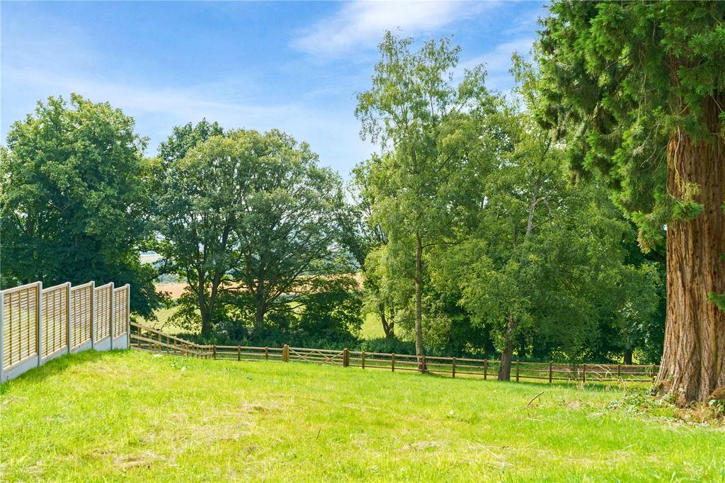 Garden/View