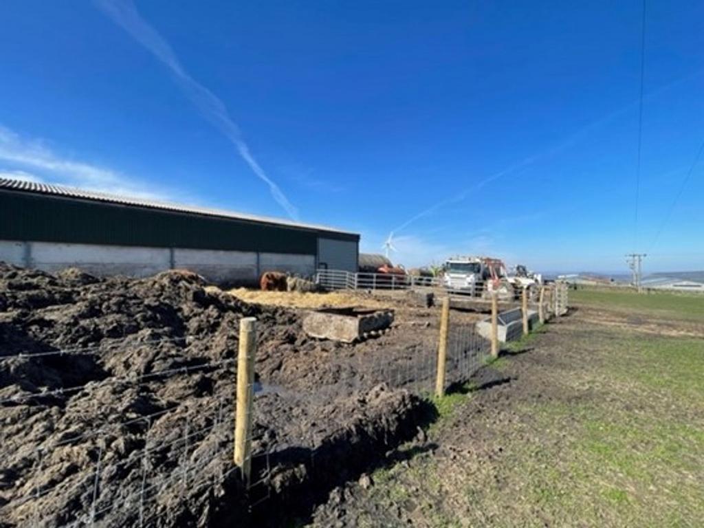 Lot 3