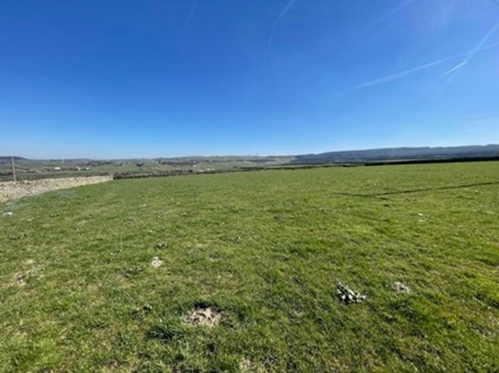 Lot 4