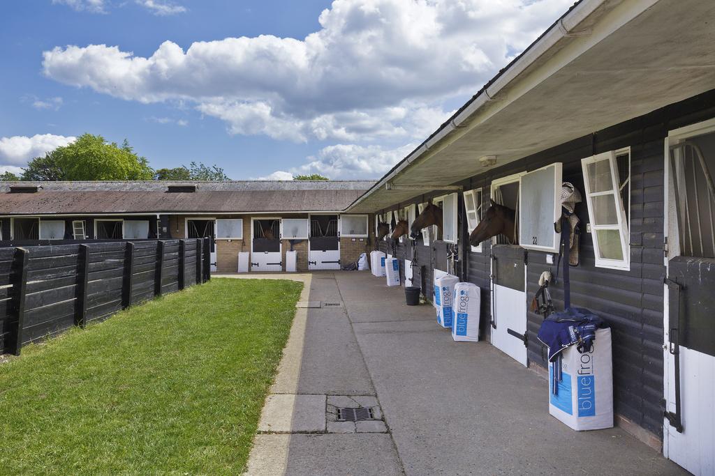 Yard of 18 boxes, Saville House Stables