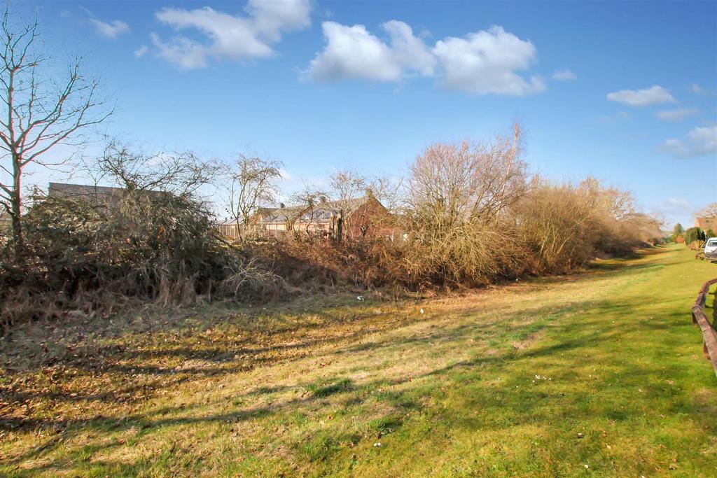 Grass Bank to Front.JPG