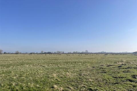 undefined, Long Moor Drove, Huntspill Moor, Bridgwater, Somerset, TA7