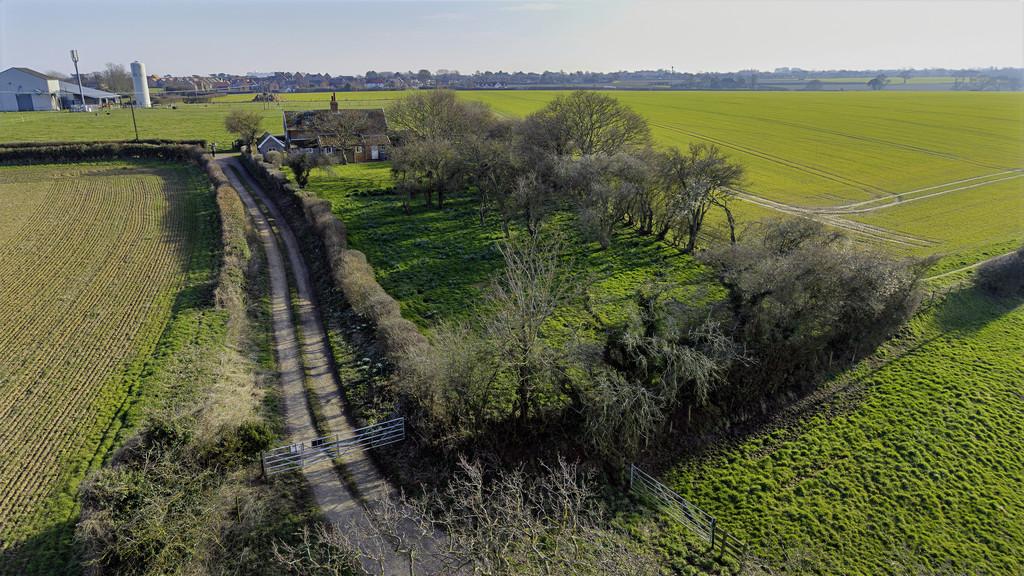 Dji 20250307151452 0019 d