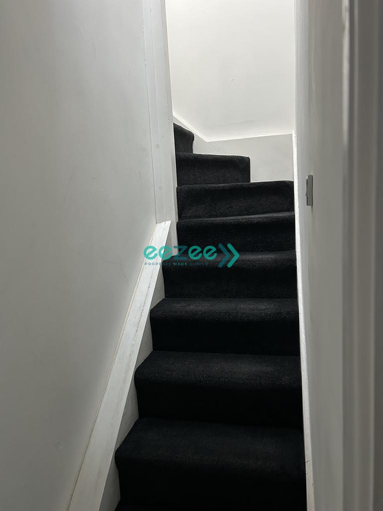 IMG 4481.jpeg