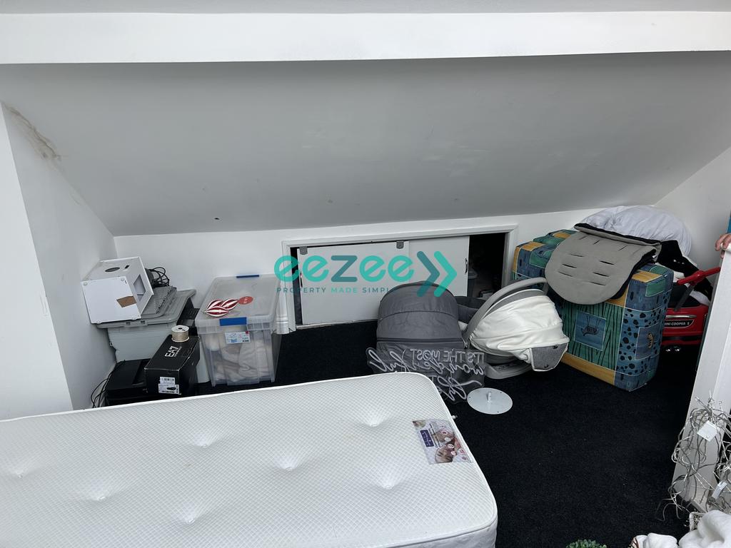 IMG 4484.jpeg