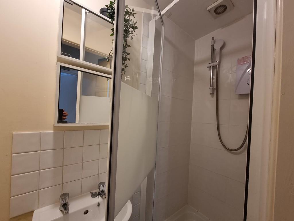 Shower open door