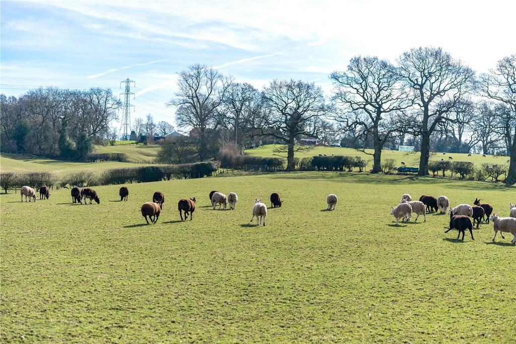 Adjoining Fields