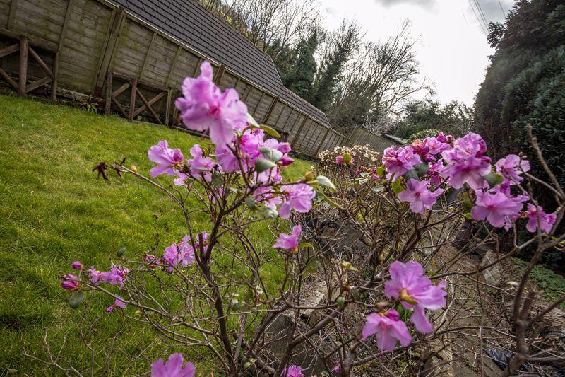 Garden Detail