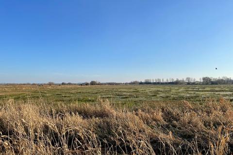 Land to rent, Lot 2: Land At North Moor & Wistera Farm, Coxhill, North Newton, Bridgwater, Somerset, TA7