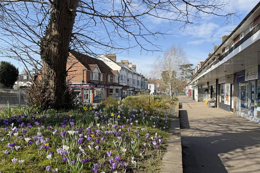 Hassocks High Street