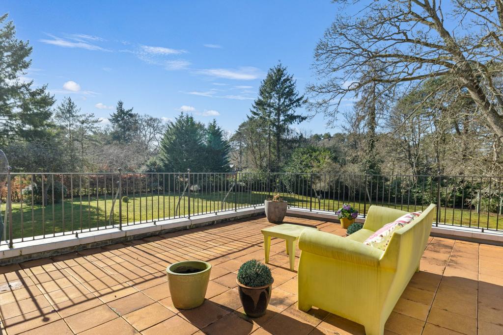 Roof Terrace