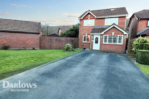 undefined, Augusta Park, Ebbw Vale