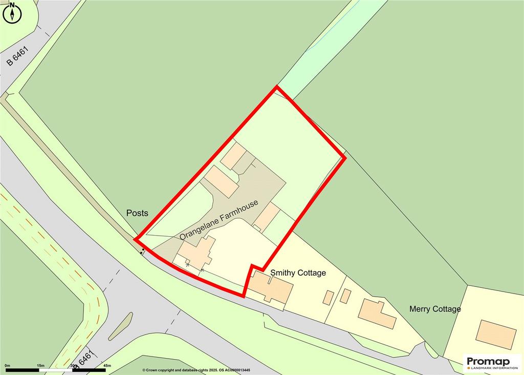 Site Plan Whole