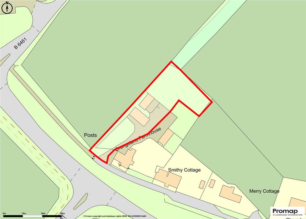 Site Plan Plots