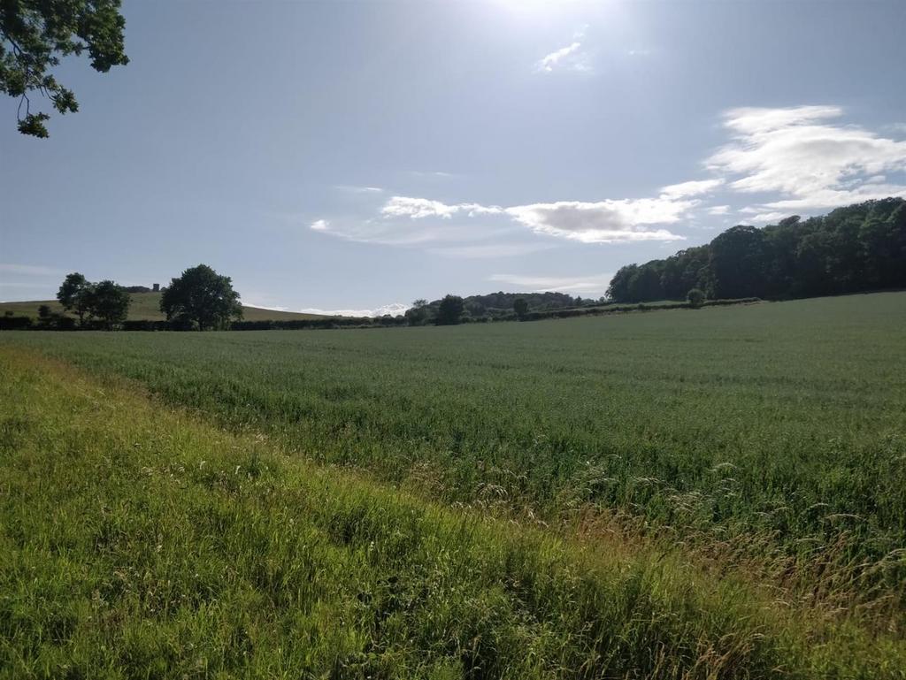 Whats App Image 2022-07-06 at 4.02.45 PM (1).jpeg