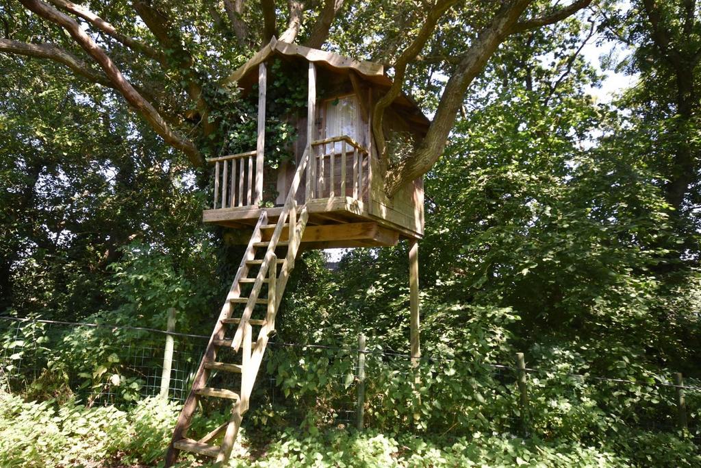 Tree house.jpg