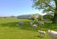 Additional image 3 of Withgill Fold, Withgill, Clitheroe, BB7