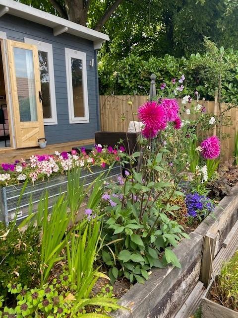 Garden 7