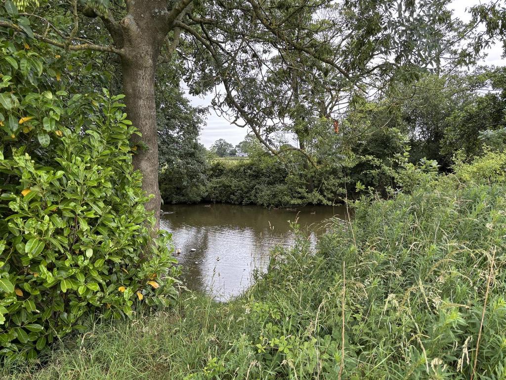 Img 1376.jpg