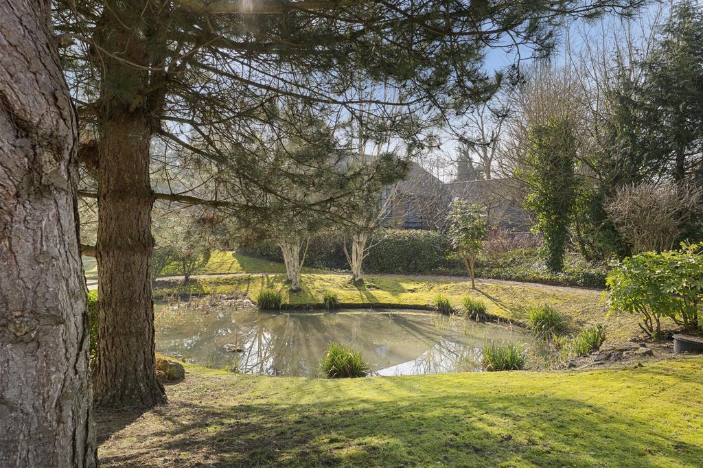 Communal pond