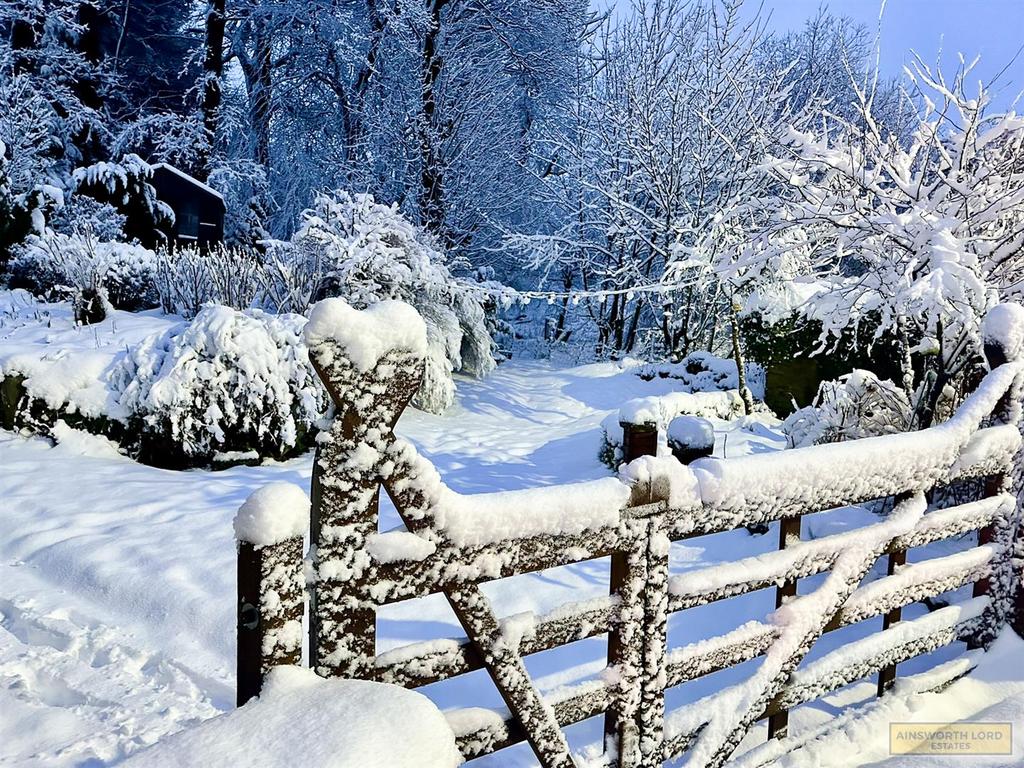 Winter shot