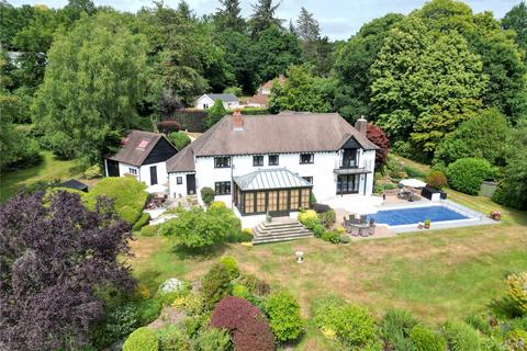 undefined, Godshill Wood, Fordingbridge, Hampshire, SP6