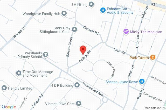 Google Maps Image