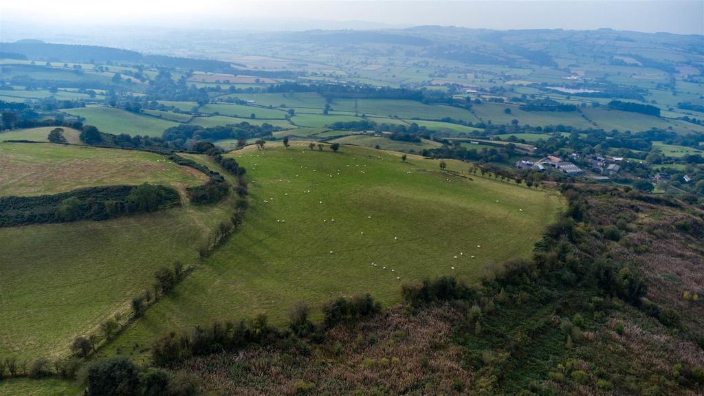 DJI 0647.jpg